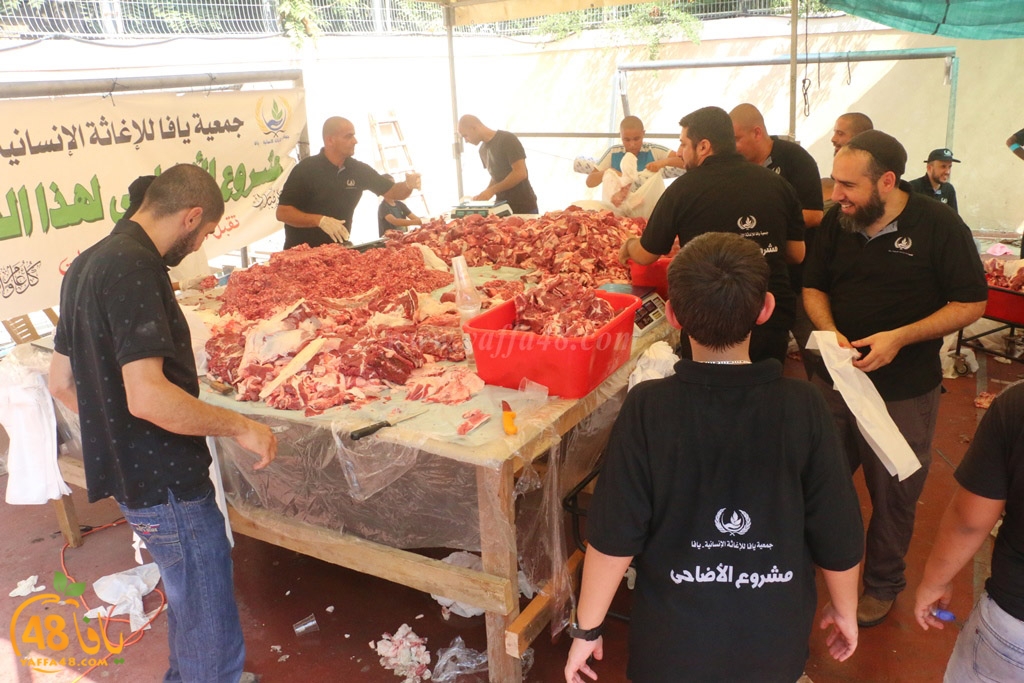 ada7y forthei (9).JPG